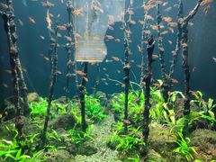 -成都浩海立方海洋公园