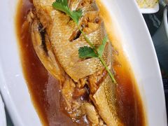 家炖黄花鱼-双井轩(双井店)