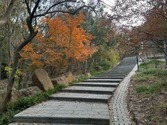 -虞山风景区