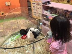 -卡通尼·Safari非洲探索乐园·生日会(金桥国际商业广场店)