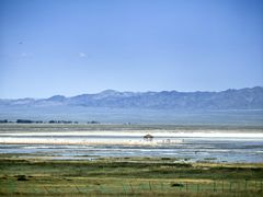 -盐湖景区