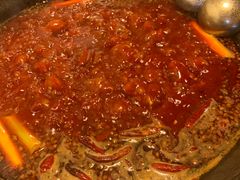 -星鸿社重庆老火锅(燃灯寺分店)