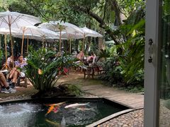 -Fern Forest Cafe
