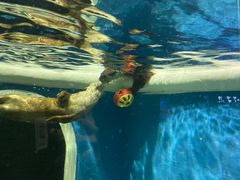 -成都浩海立方海洋公园