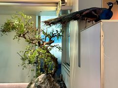 -宴长沙(五一广场店)