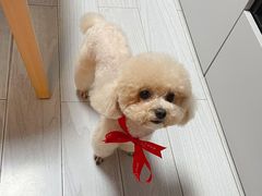 -宠物家(大兴旧宫店)