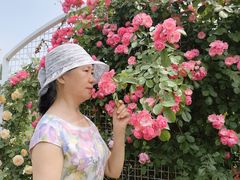 -太阳宫公园