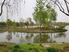 -东郊湿地公园