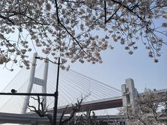 -上海南浦大桥长途旅游客运站