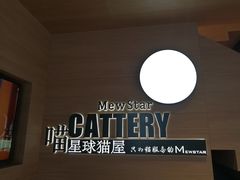 -CAT’S MEWSTAR CAFE·喵星球猫屋(晴湾咖啡店)