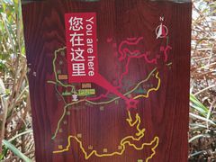 -梧桐山风景名胜区