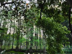 -中国科学院华南植物园