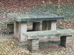 -上海佘山国家森林公园天马山园