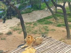 -西霞口神雕山野生动物世界