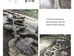 -成都市活水公园