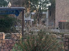 -J Create城市露营咖啡·简餐·宠物(上海动物园店)