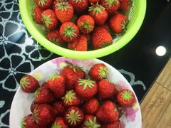 -小鱼草莓采摘园农家乐·小鱼餐厅