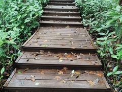 -杭州植物园