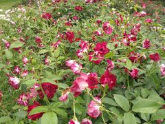 -人民公园(罗湖区)