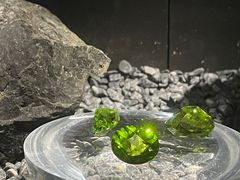 -深圳珠宝博物馆