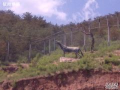 -大青山野生动物园