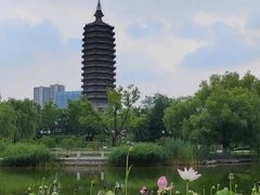 -西海子公园