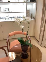 -LORI SPA洛丽汇 美肤抗衰SPA中心