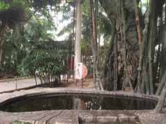 -龙达温泉生态城