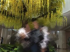 -南方医科大学深圳医院