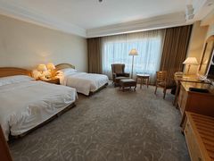 -南京维景国际大酒店(南京博物院店)