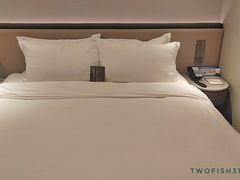 -南京THE TAI太和紫金大酒店