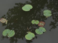 -兰亭风景区