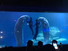 -皇家极地海洋世界-售票处