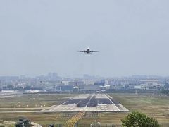 -空港花田景区
