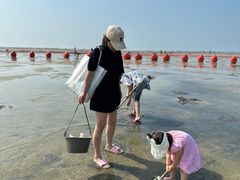 -红树林天天赶海