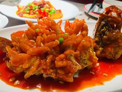 松鼠桂鱼-新白鹿餐厅(金鹰新街口店)
