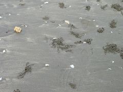 -台山黑沙湾海浴场