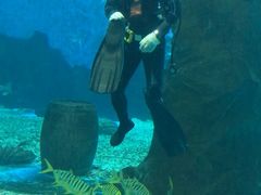 -北戴河圣蓝海洋公园