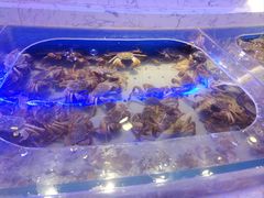 -澜悦港海鲜体验主题餐厅