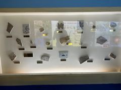 -上海昆虫博物馆