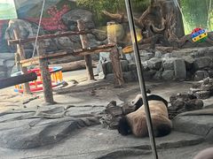 -武汉动物园