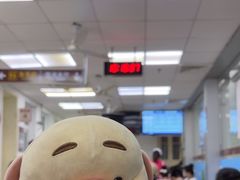 -上海市眼病防治中心(康定路院区)