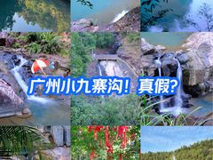 -广州白江湖森林公园