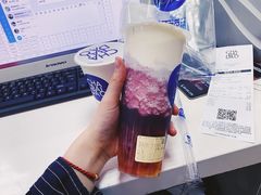 葡萄多肉芝士-茶百道(中医大省医院店)