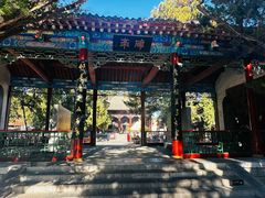 -黄帝陵