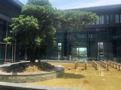 -上海崇明金茂凯悦酒店