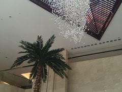 -常州环球恐龙城维景国际大酒店
