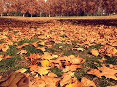 iphone_upload_pic-河南省黄河迎宾馆