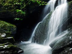 空气负离子浓度值最高-江西阳明山国家森林公园