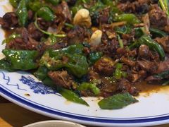 -食鸡公社辣子鸡·潍坊菜·烧烤